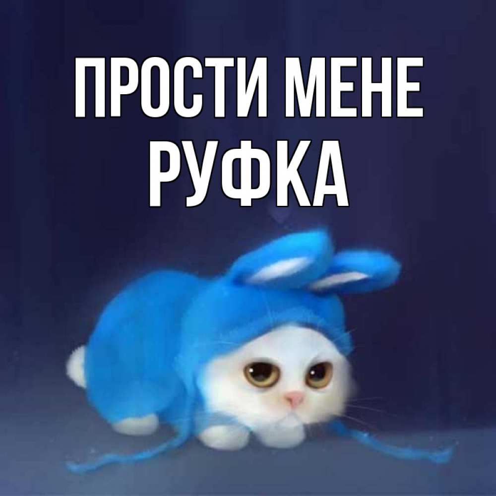 Открытка на каждый день з підписом, Руфка Прости мене невинный котозай просит прощения Прикольна листівка з побажанням онлайн скачати безкоштовно 