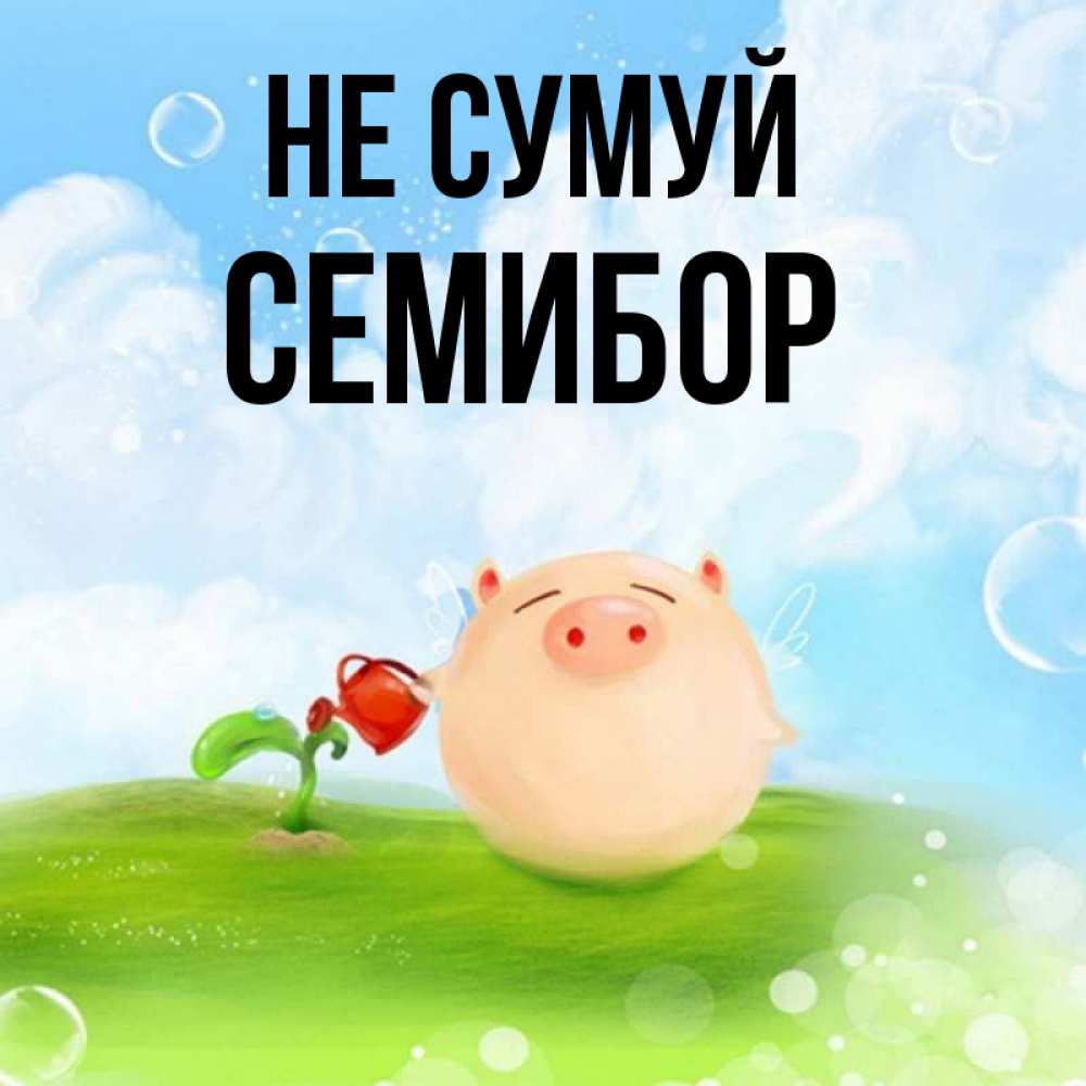 Открытка на каждый день з підписом, Семибор Не сумуй поливает цветок порося Прикольна листівка з побажанням онлайн скачати безкоштовно 