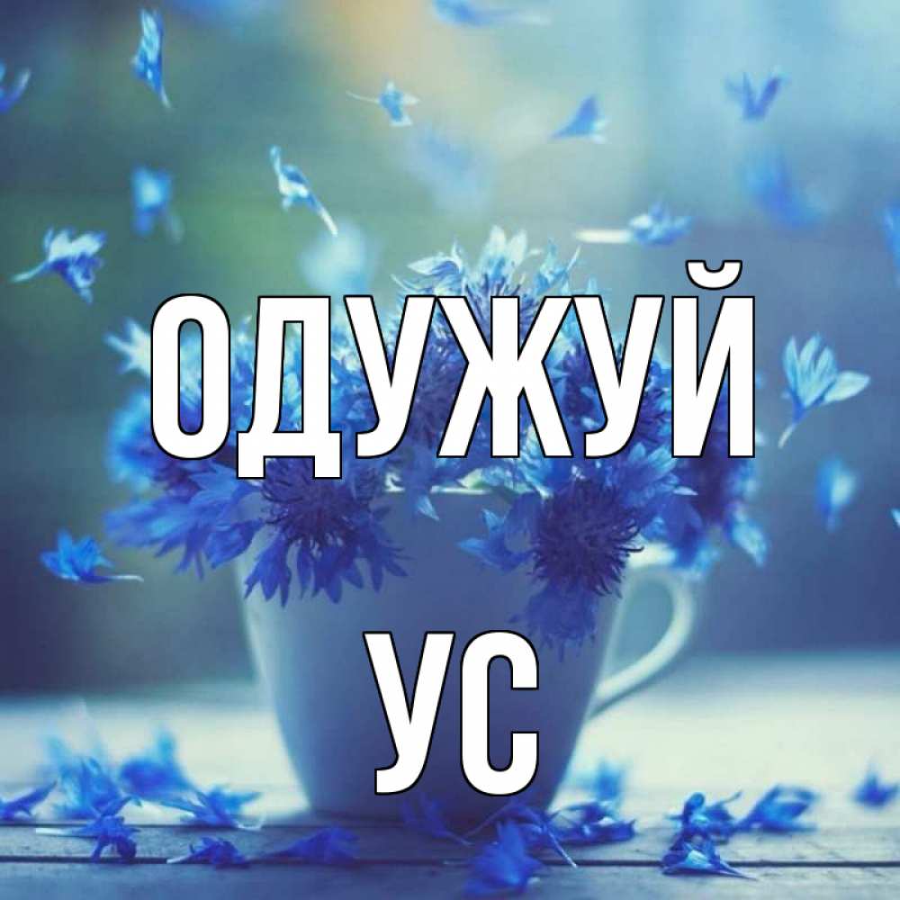 Открытка на каждый день з підписом, Ус Одужуй кружка с зельем и цветами Прикольна листівка з побажанням онлайн скачати безкоштовно 