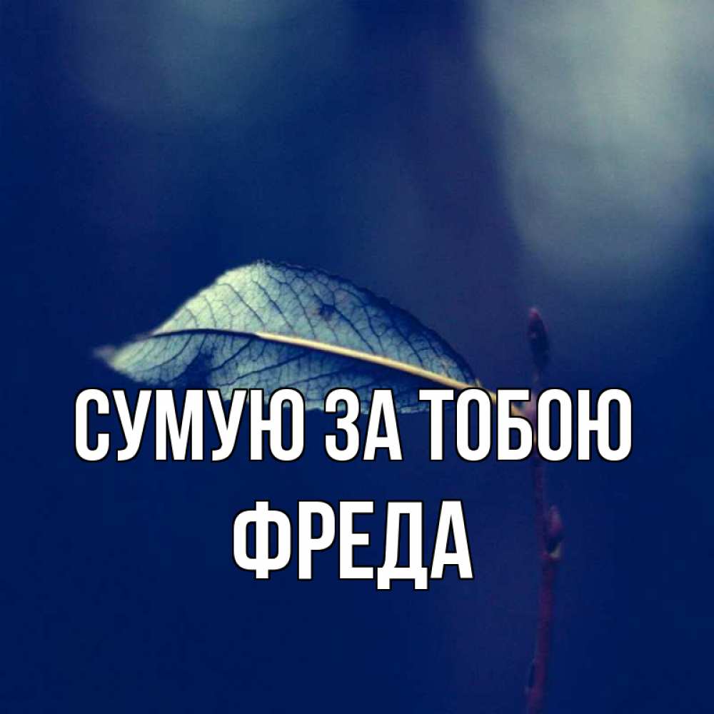 Открытка на каждый день з підписом, Фреда Сумую за тобою одна ветка 1 Прикольна листівка з побажанням онлайн скачати безкоштовно 