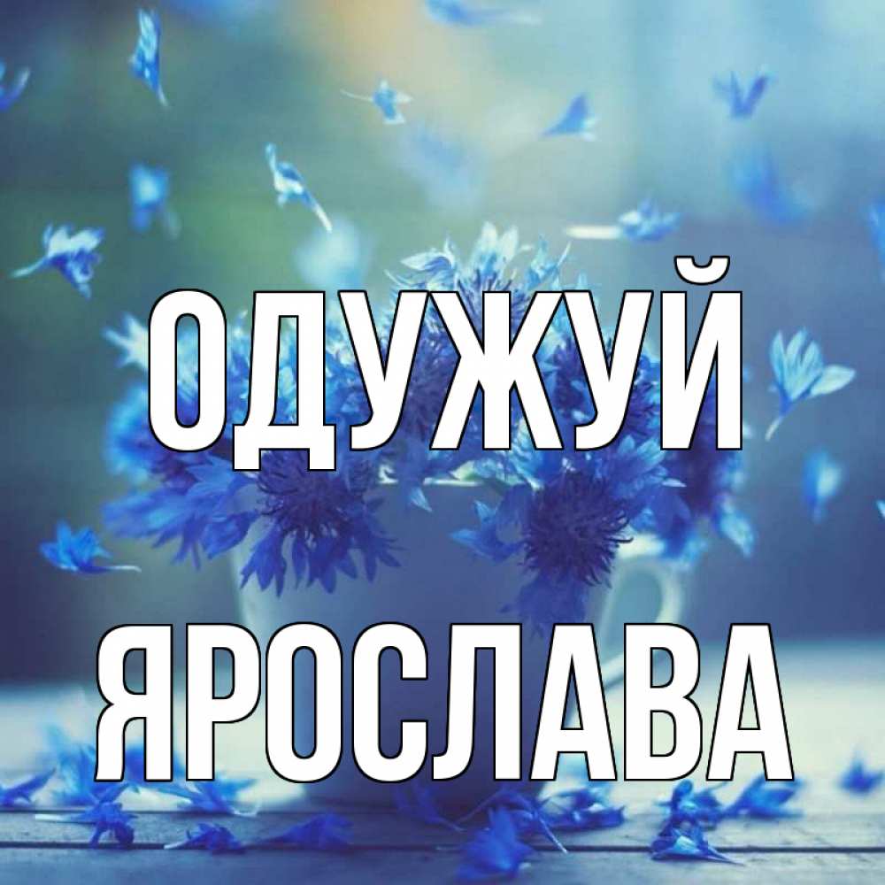 Открытка на каждый день з підписом, Ярослава Одужуй кружка с зельем и цветами Прикольна листівка з побажанням онлайн скачати безкоштовно 