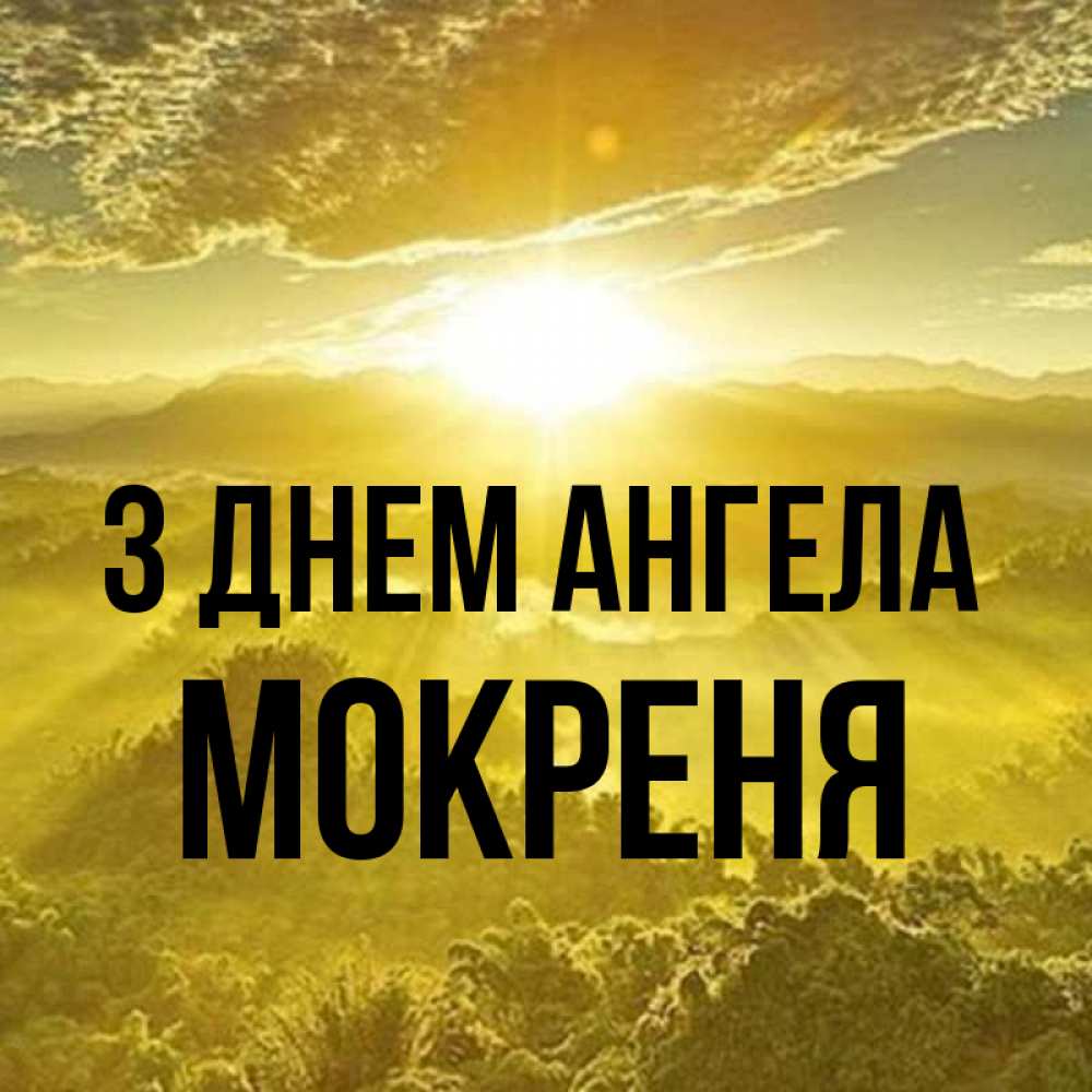 Открытка на каждый день з підписом, Мокреня З Днем ангела леса и небо в желтом Прикольна листівка з побажанням онлайн скачати безкоштовно 
