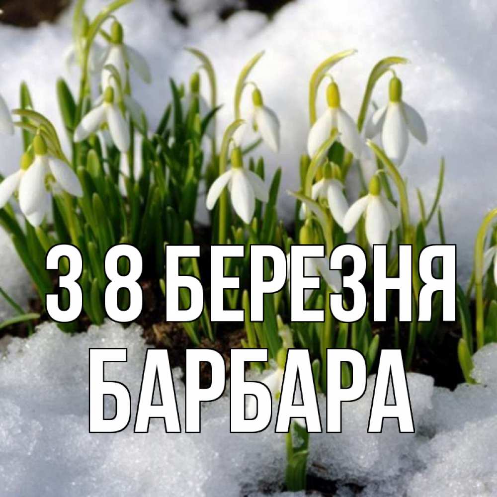 Открытка на каждый день з підписом, Барбара З 8 БЕРЕЗНЯ цветы весенние Прикольна листівка з побажанням онлайн скачати безкоштовно 