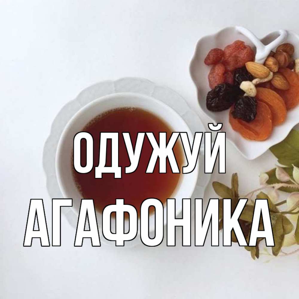 Открытка на каждый день з підписом, Агафоника Одужуй неизвестные растения Прикольна листівка з побажанням онлайн скачати безкоштовно 