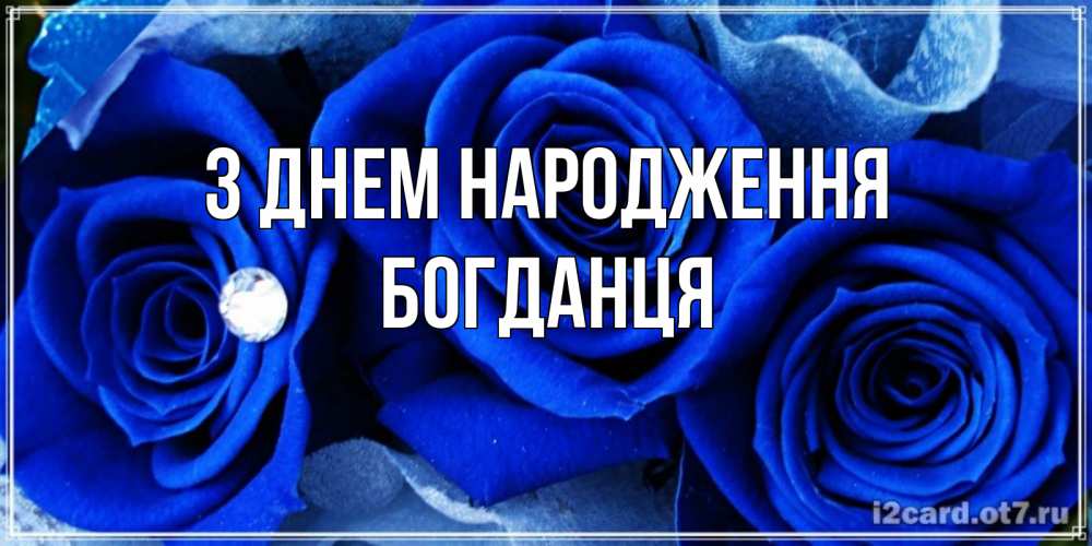 Открытка на каждый день з підписом, Богданця З Днем народження синие розы в росе Прикольна листівка з побажанням онлайн скачати безкоштовно 