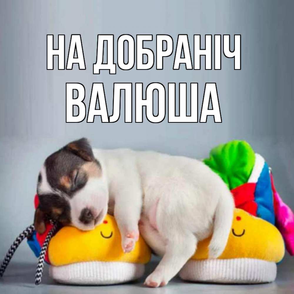 Открытка на каждый день з підписом, Валюша На добраніч собачка Прикольна листівка з побажанням онлайн скачати безкоштовно 