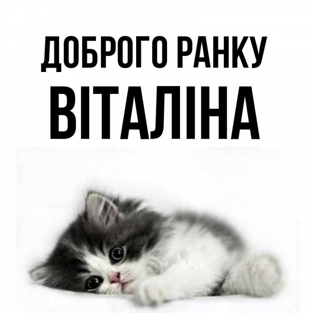 Открытка на каждый день з підписом, Віталіна Доброго ранку кот лапки Прикольна листівка з побажанням онлайн скачати безкоштовно 