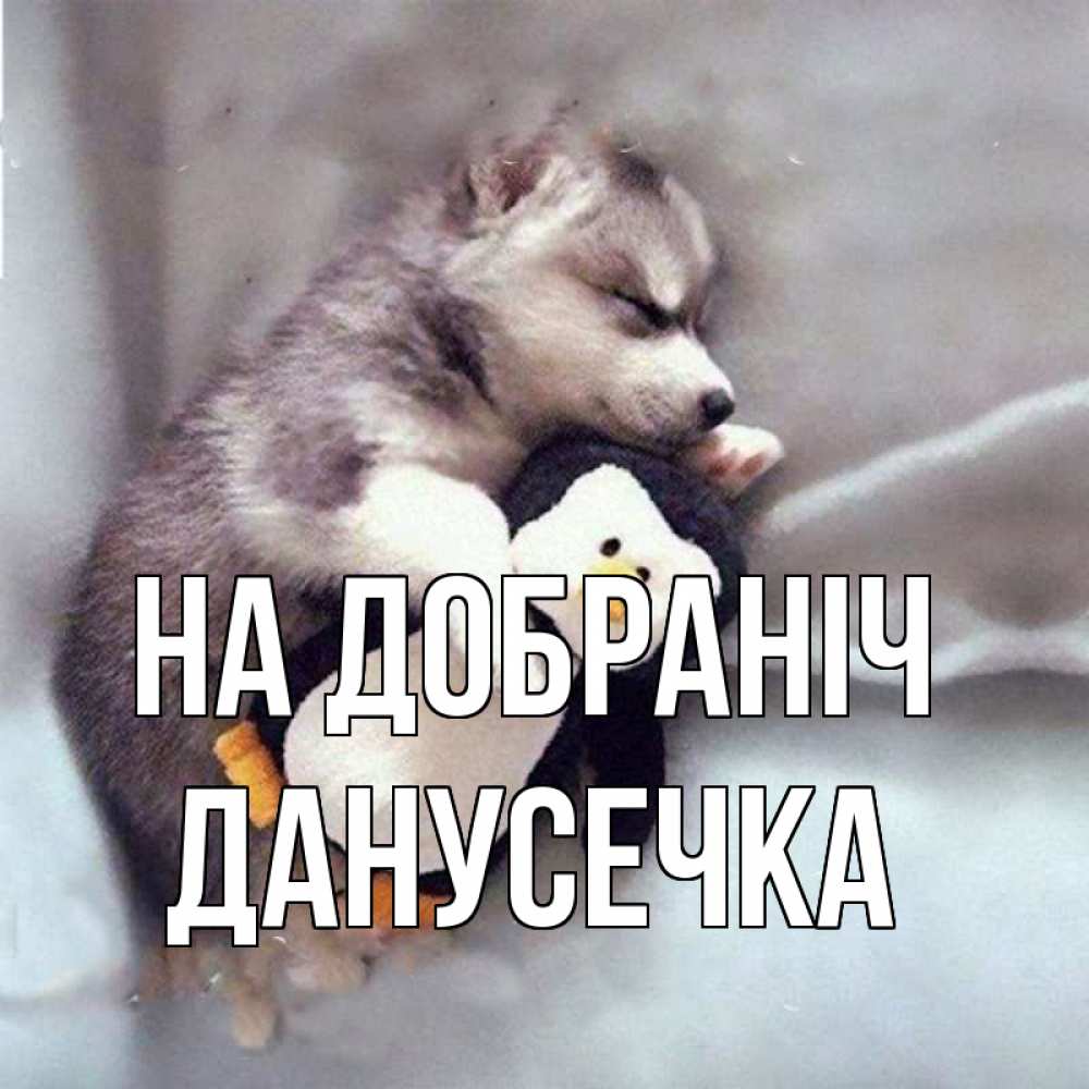 Открытка на каждый день з підписом, Данусечка На добраніч обнимашки щенка и пингвина Прикольна листівка з побажанням онлайн скачати безкоштовно 