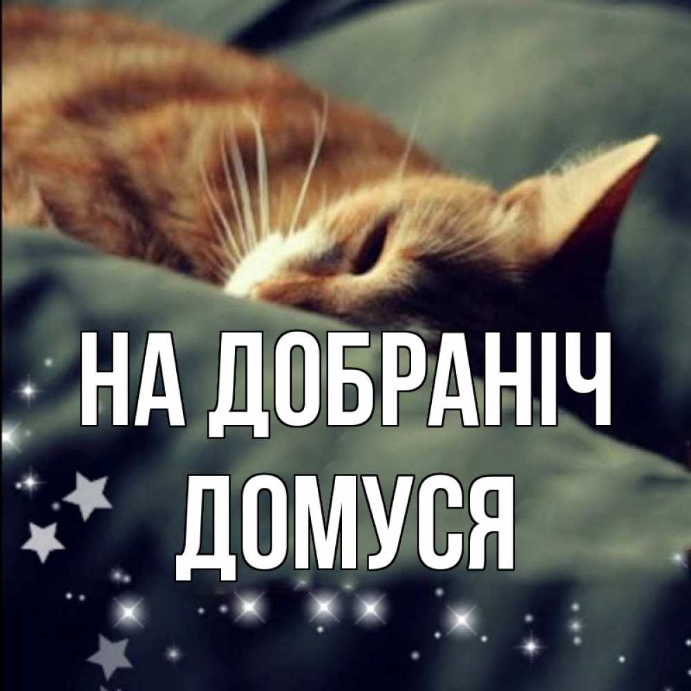 Открытка на каждый день з підписом, Домуся На добраніч кроватка Прикольна листівка з побажанням онлайн скачати безкоштовно 