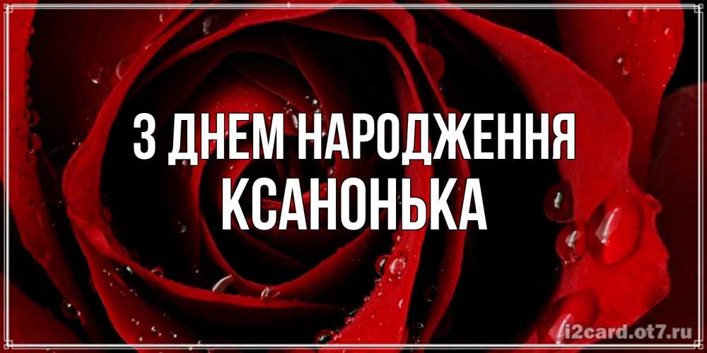 Открытка на каждый день з підписом, Ксанонька З Днем народження крупная бордовая роза Прикольна листівка з побажанням онлайн скачати безкоштовно 