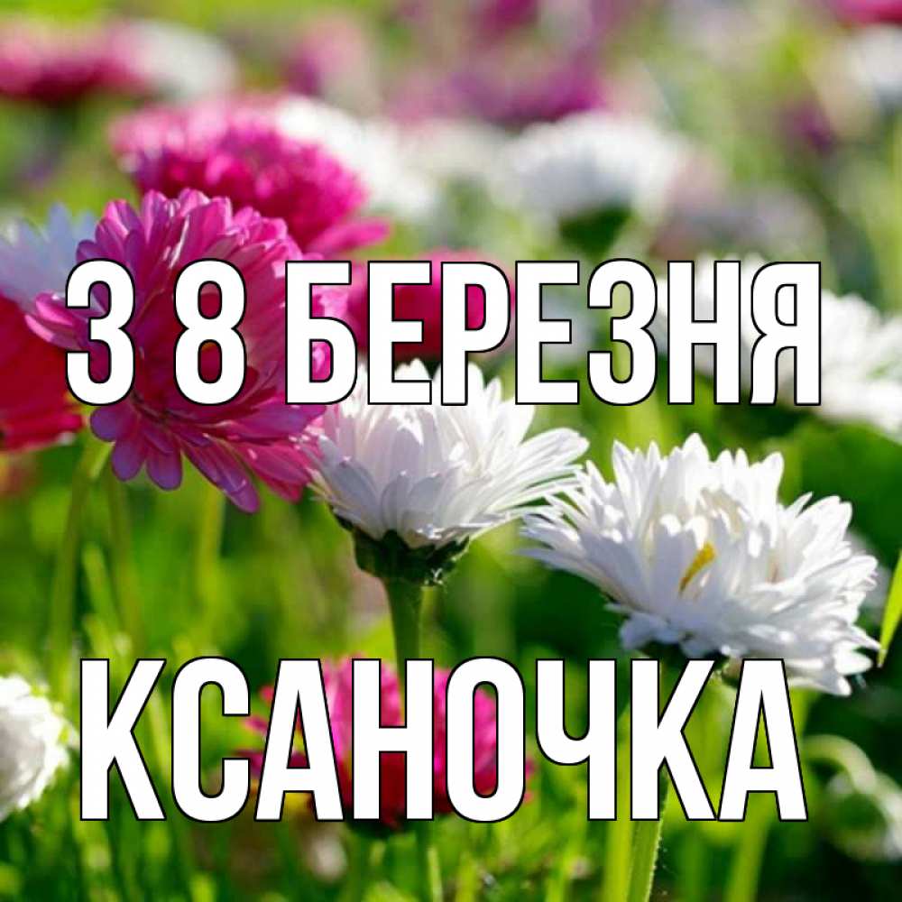 Открытка на каждый день з підписом, Ксаночка З 8 БЕРЕЗНЯ международный женский день 1 Прикольна листівка з побажанням онлайн скачати безкоштовно 