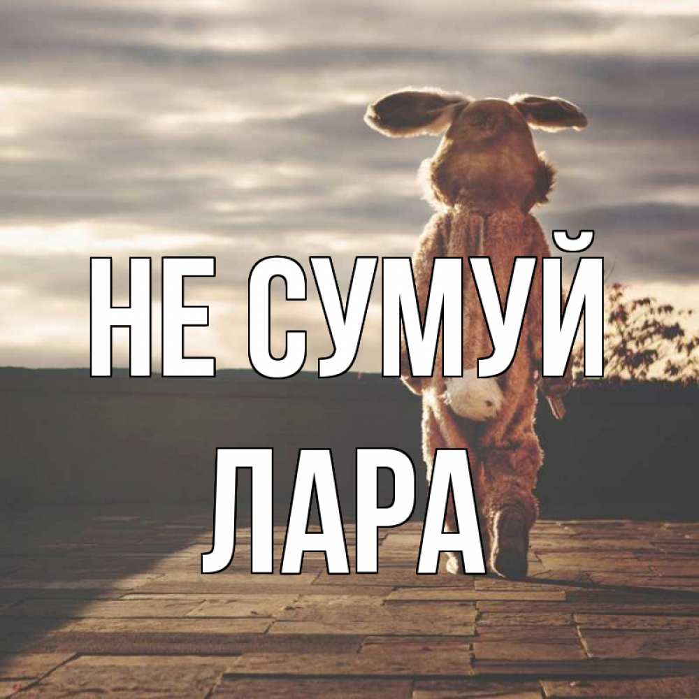 Открытка на каждый день з підписом, Лара Не сумуй со спины Прикольна листівка з побажанням онлайн скачати безкоштовно 