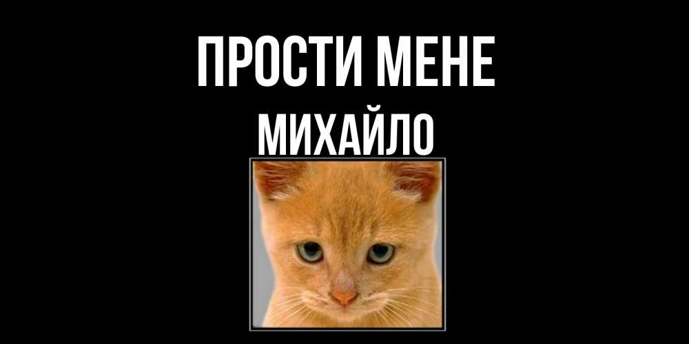 Открытка на каждый день з підписом, Михайло Прости мене рыжий грустный кот просит прощения Прикольна листівка з побажанням онлайн скачати безкоштовно 