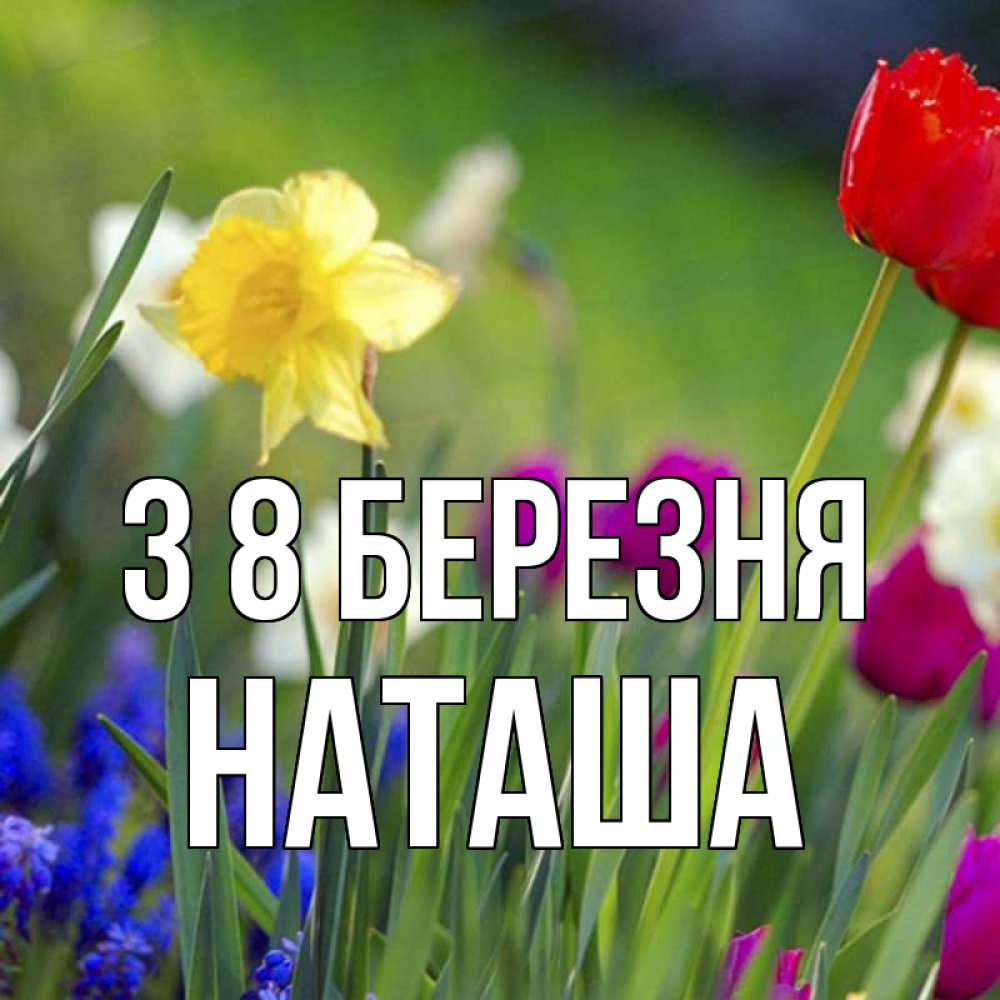 Открытка на каждый день з підписом, Наташа З 8 БЕРЕЗНЯ международный женский день 3 Прикольна листівка з побажанням онлайн скачати безкоштовно 