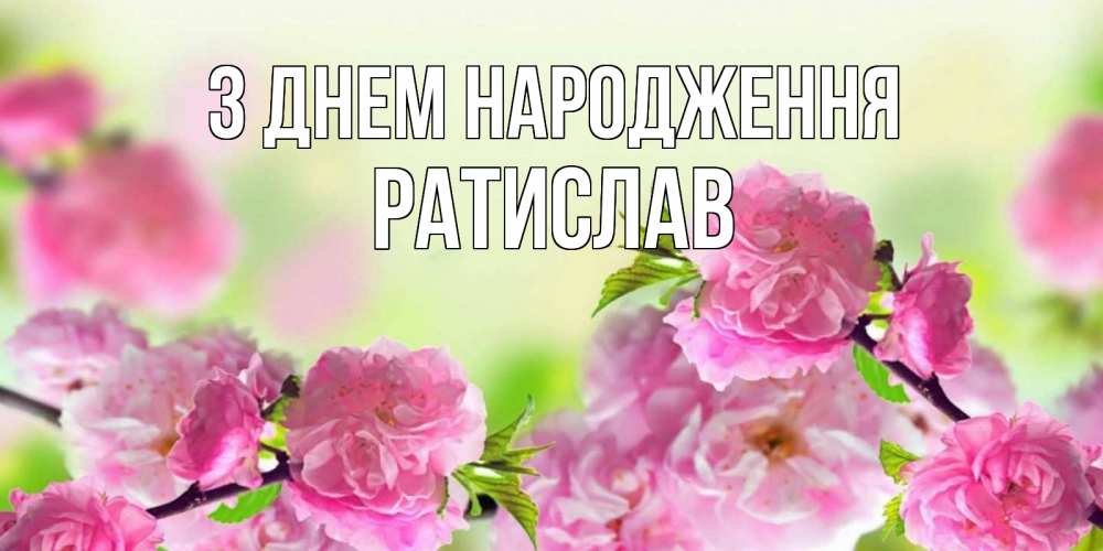 Открытка на каждый день з підписом, Ратислав З Днем народження веточки с цветками Прикольна листівка з побажанням онлайн скачати безкоштовно 
