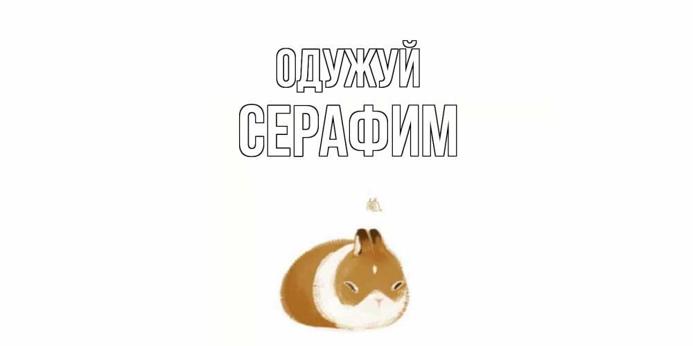 Открытка на каждый день з підписом, Серафим Одужуй морская свинка на открытке с пожеланиями не болеть Прикольна листівка з побажанням онлайн скачати безкоштовно 