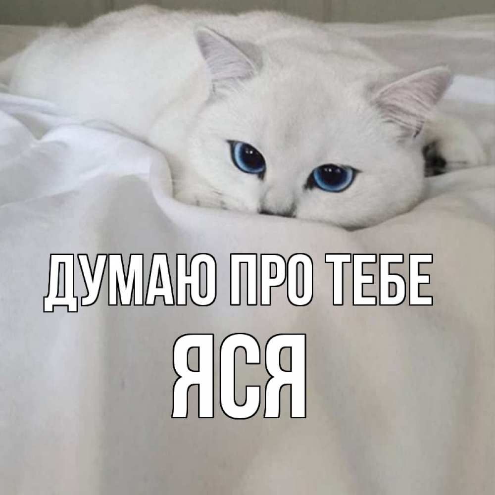 Открытка на каждый день з підписом, Яся Думаю про тебе я очень по тебе скучаю и тоскую Прикольна листівка з побажанням онлайн скачати безкоштовно 