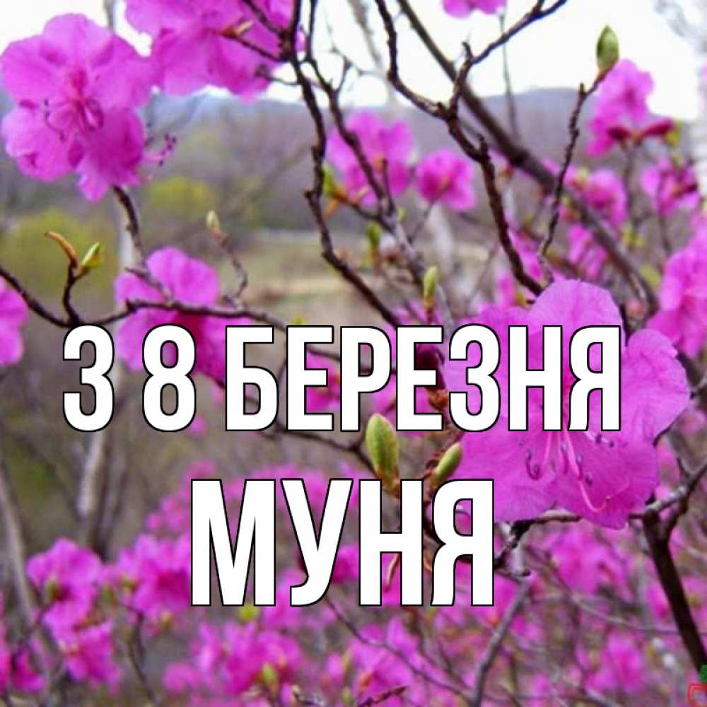 Открытка на каждый день з підписом, Муня З 8 БЕРЕЗНЯ международный женский день Прикольна листівка з побажанням онлайн скачати безкоштовно 