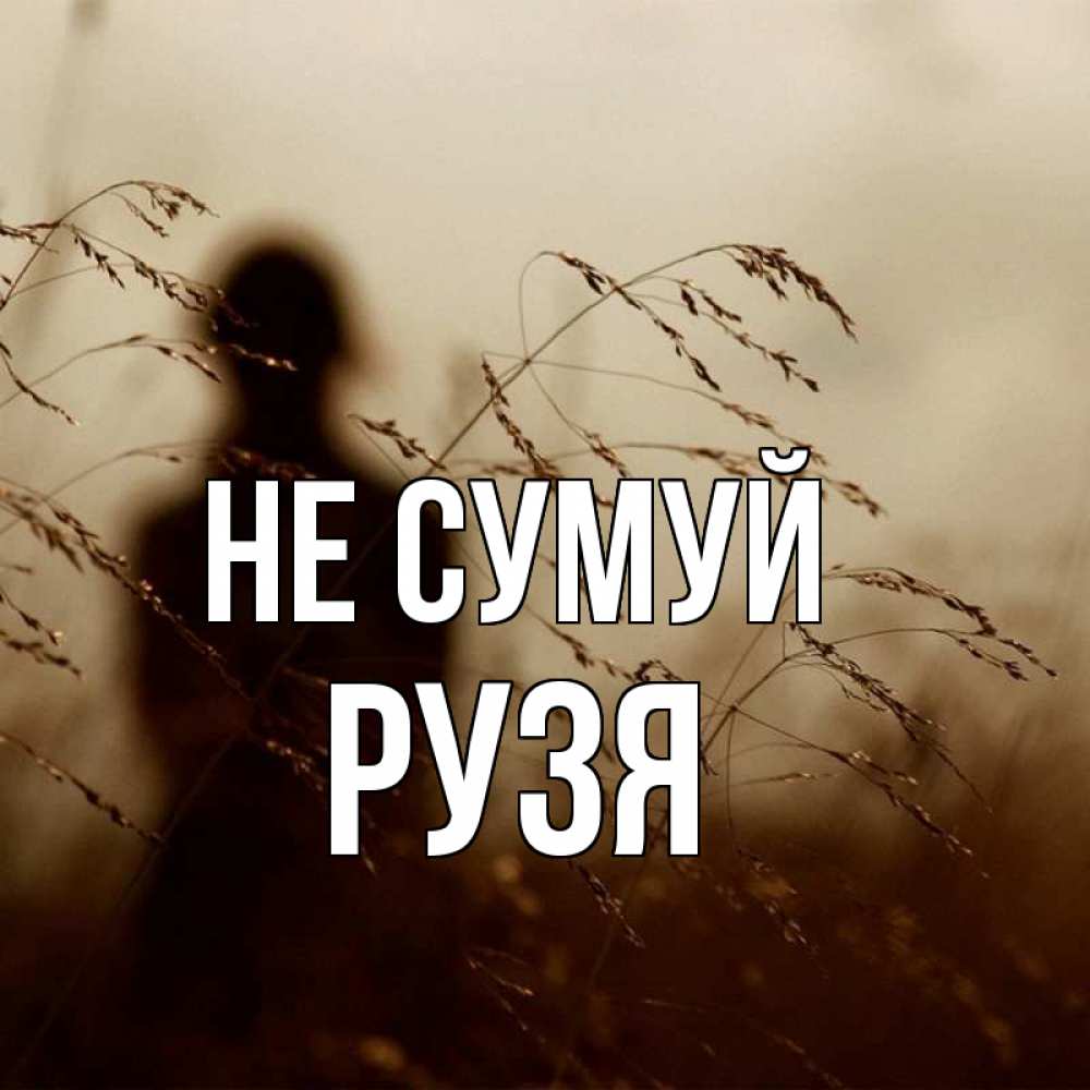 Открытка на каждый день з підписом, Рузя Не сумуй грусть Прикольна листівка з побажанням онлайн скачати безкоштовно 