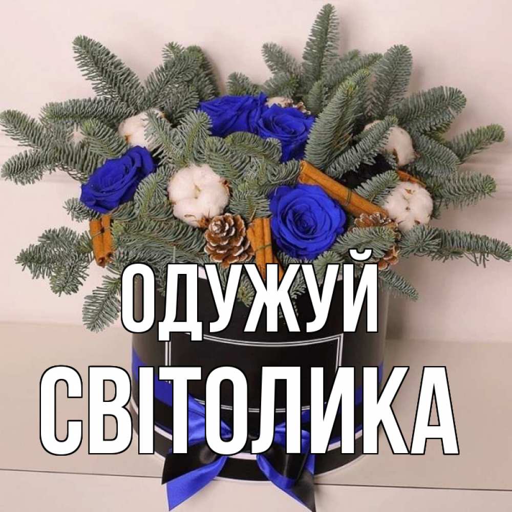 Открытка на каждый день з підписом, Світолика Одужуй короче кто то загрузил эти шишки Прикольна листівка з побажанням онлайн скачати безкоштовно 