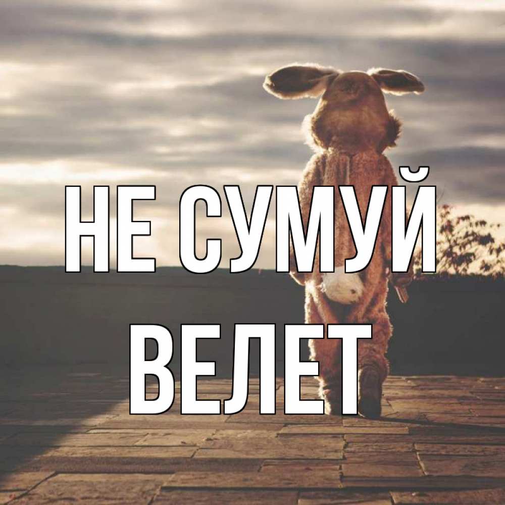 Открытка на каждый день з підписом, Велет Не сумуй со спины Прикольна листівка з побажанням онлайн скачати безкоштовно 