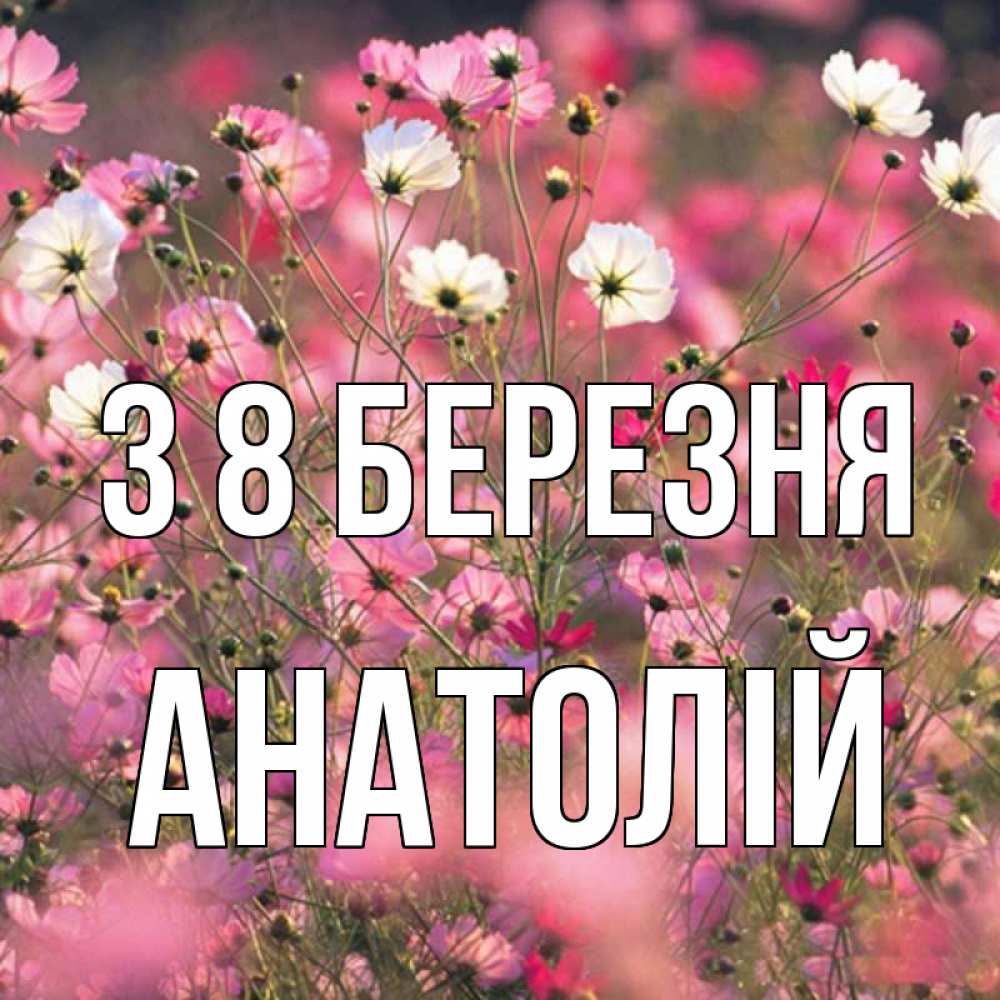 Открытка на каждый день з підписом, Анатолій З 8 БЕРЕЗНЯ красиво 1 Прикольна листівка з побажанням онлайн скачати безкоштовно 