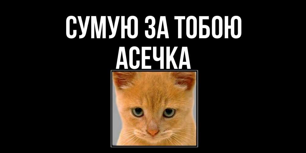 Открытка на каждый день з підписом, Асечка Сумую за тобою открытки рыжий котенок скучает по тебе Прикольна листівка з побажанням онлайн скачати безкоштовно 