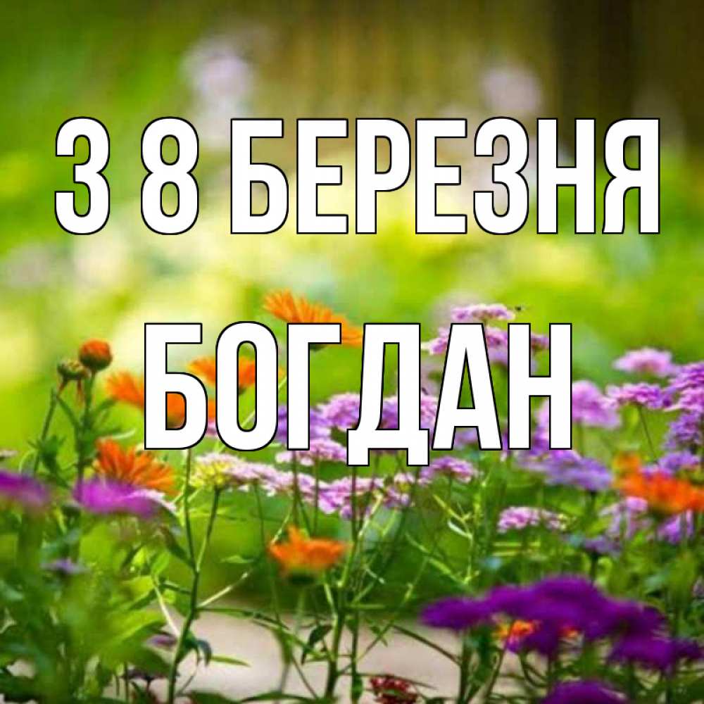 Открытка на каждый день з підписом, Богдан З 8 БЕРЕЗНЯ цветы Прикольна листівка з побажанням онлайн скачати безкоштовно 