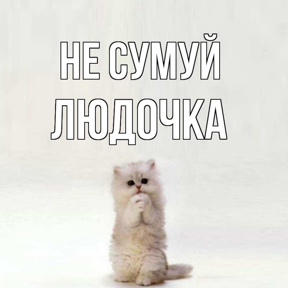 Открытка на каждый день з підписом, Людочка Не сумуй грустный кот Прикольна листівка з побажанням онлайн скачати безкоштовно 