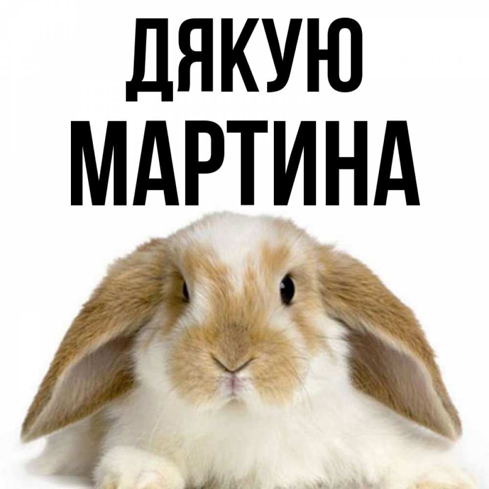 Открытка на каждый день з підписом, Мартина Дякую коричнево белый заяц Прикольна листівка з побажанням онлайн скачати безкоштовно 