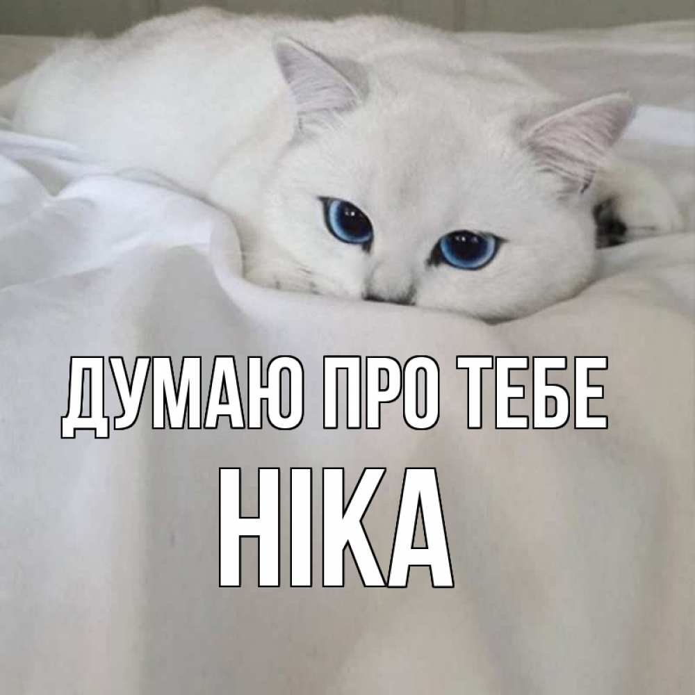 Открытка на каждый день з підписом, Ніка Думаю про тебе я очень по тебе скучаю и тоскую Прикольна листівка з побажанням онлайн скачати безкоштовно 