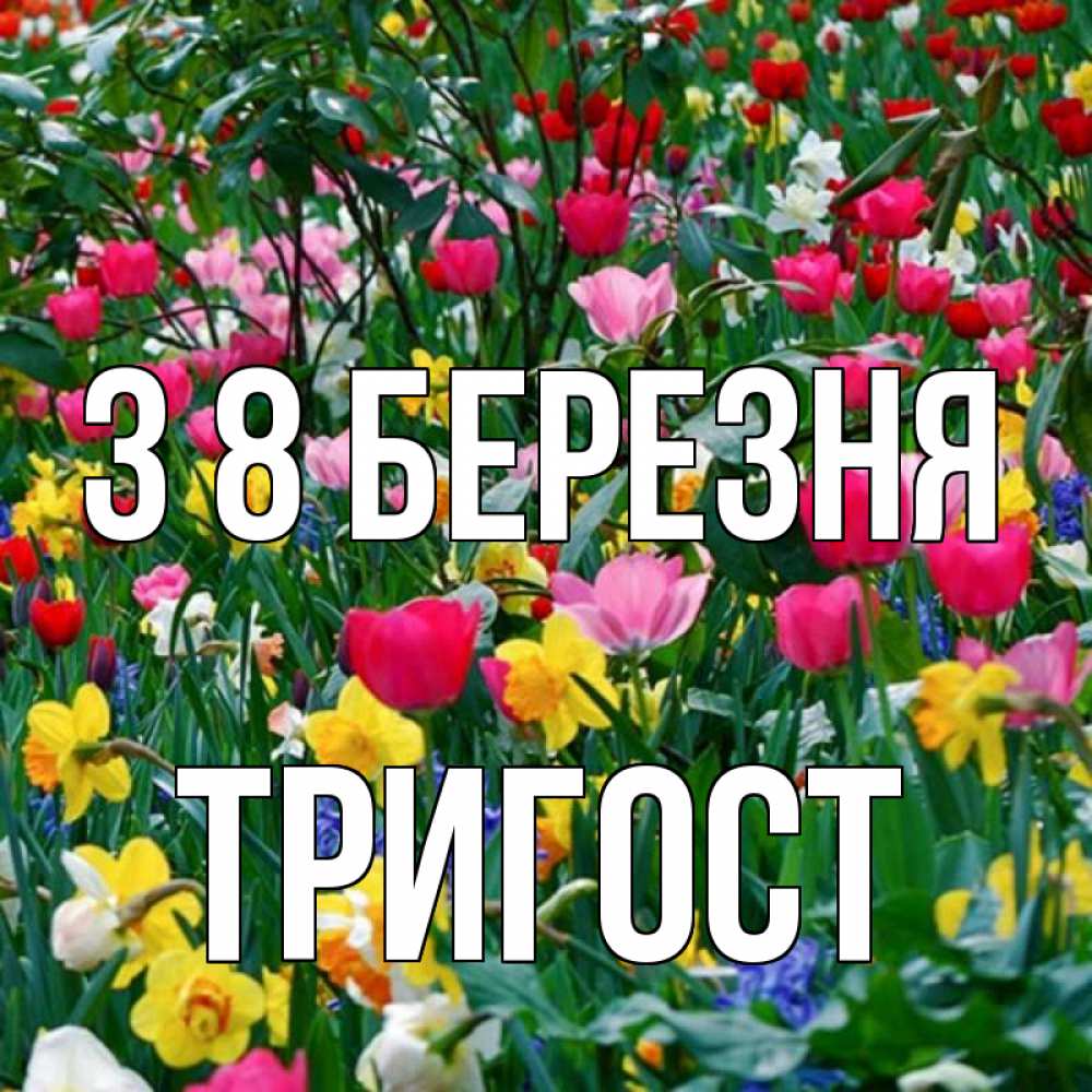Открытка на каждый день з підписом, Тригост З 8 БЕРЕЗНЯ с международным женским днем поздравления для женщины Прикольна листівка з побажанням онлайн скачати безкоштовно 
