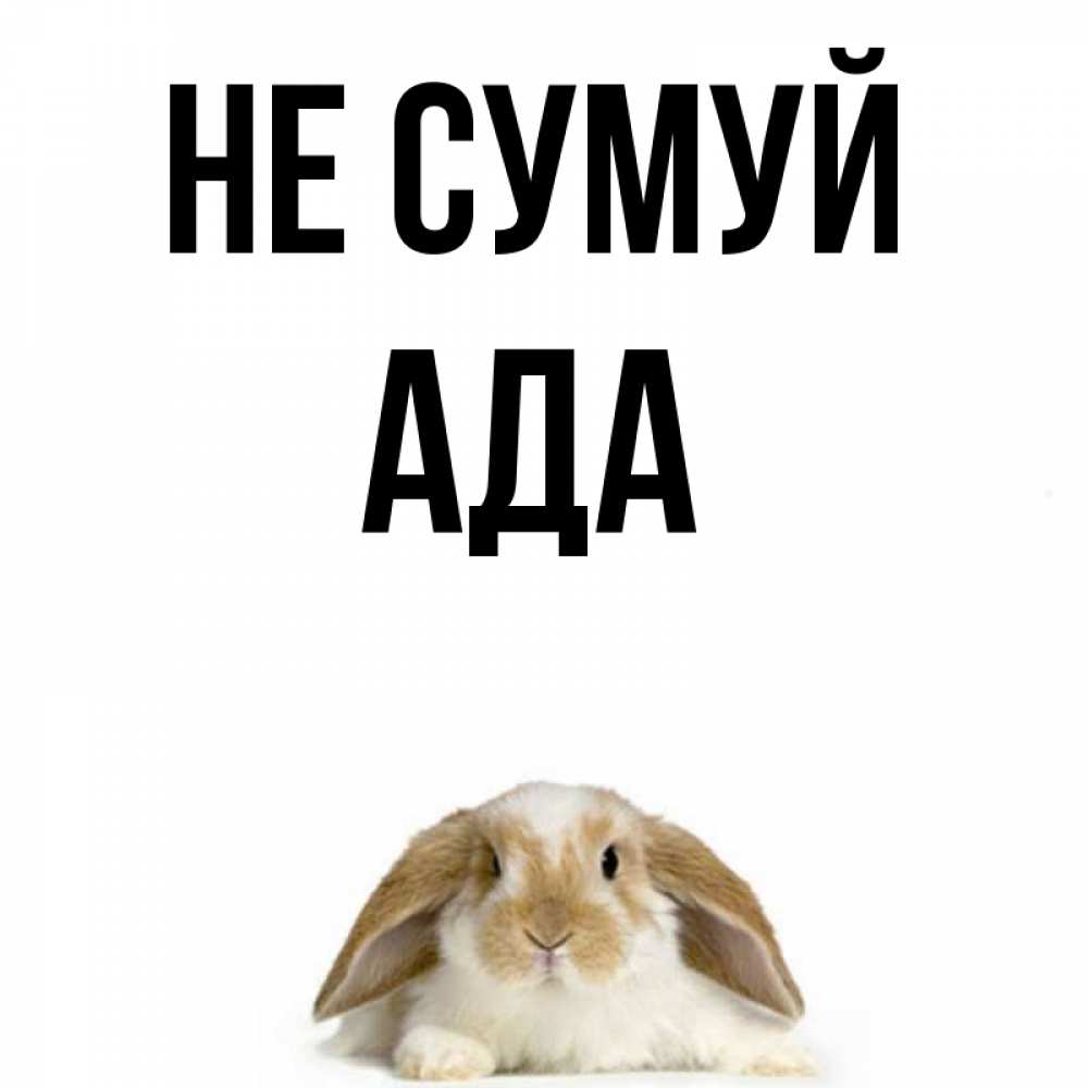 Открытка на каждый день з підписом, Ада Не сумуй коричнево белый заяц с большими ушками Прикольна листівка з побажанням онлайн скачати безкоштовно 