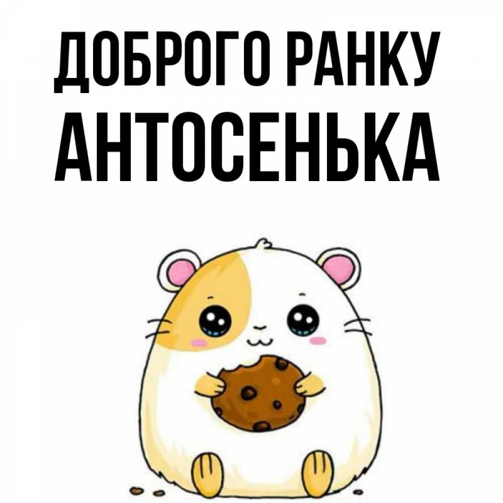 Открытка на каждый день з підписом, Антосенька Доброго ранку есть печеньку. Утречко Прикольна листівка з побажанням онлайн скачати безкоштовно 