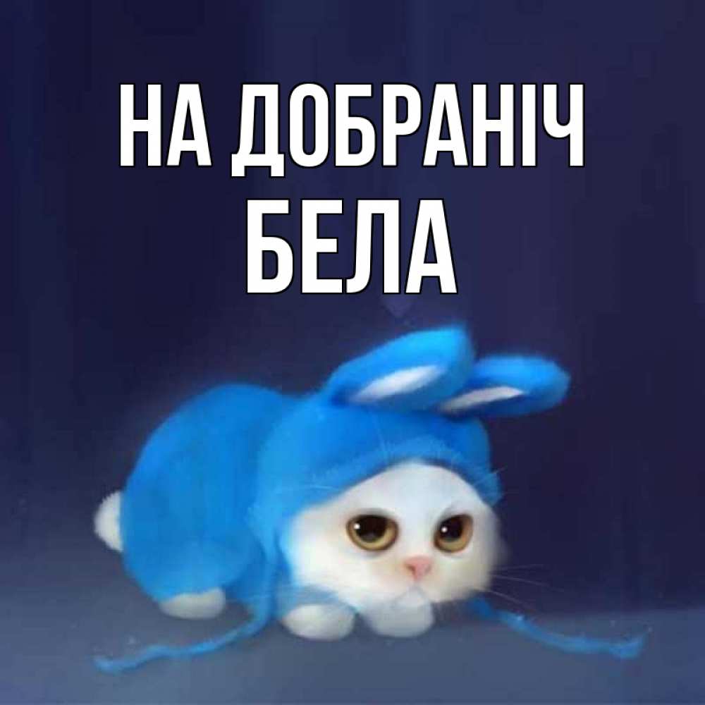 Открытка на каждый день з підписом, Бела На добраніч кот в голубом костюме кролика с ушками Прикольна листівка з побажанням онлайн скачати безкоштовно 