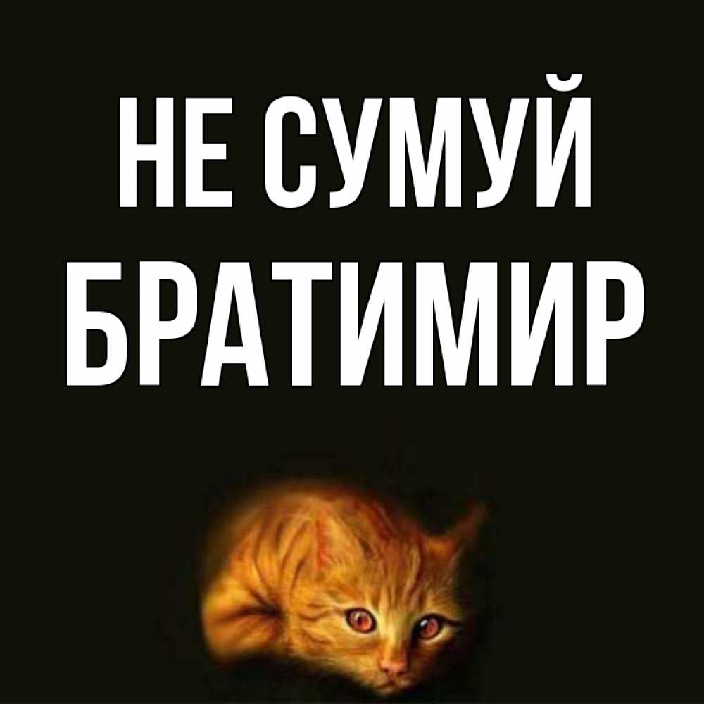 Открытка на каждый день з підписом, Братимир Не сумуй лежащий кот в темноте Прикольна листівка з побажанням онлайн скачати безкоштовно 