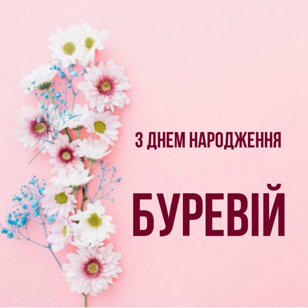 Открытка на каждый день з підписом, Буревій З Днем народження Родная моя с днем рождения тебя картинка с цветами белыми и голубыми Прикольна листівка з побажанням онлайн скачати безкоштовно 