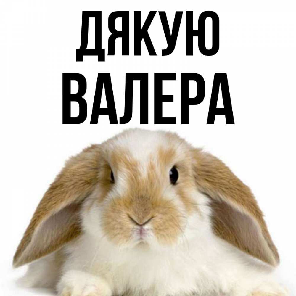 Открытка на каждый день з підписом, Валера Дякую коричнево белый заяц Прикольна листівка з побажанням онлайн скачати безкоштовно 