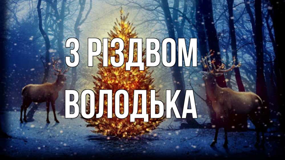 Открытка на каждый день з підписом, Володька З Різдвом олени, новогодняя елка Прикольна листівка з побажанням онлайн скачати безкоштовно 