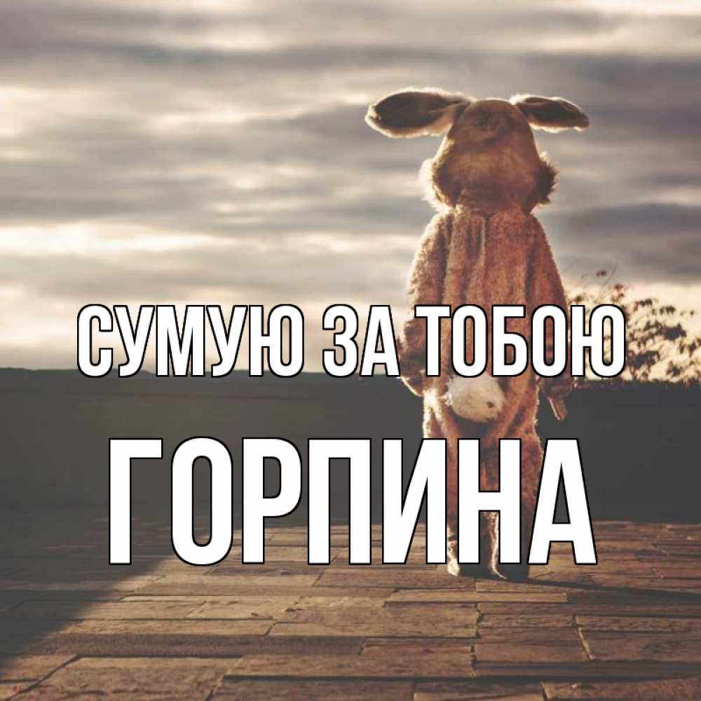 Открытка на каждый день з підписом, Горпина Сумую за тобою даже в костюме зайца Прикольна листівка з побажанням онлайн скачати безкоштовно 