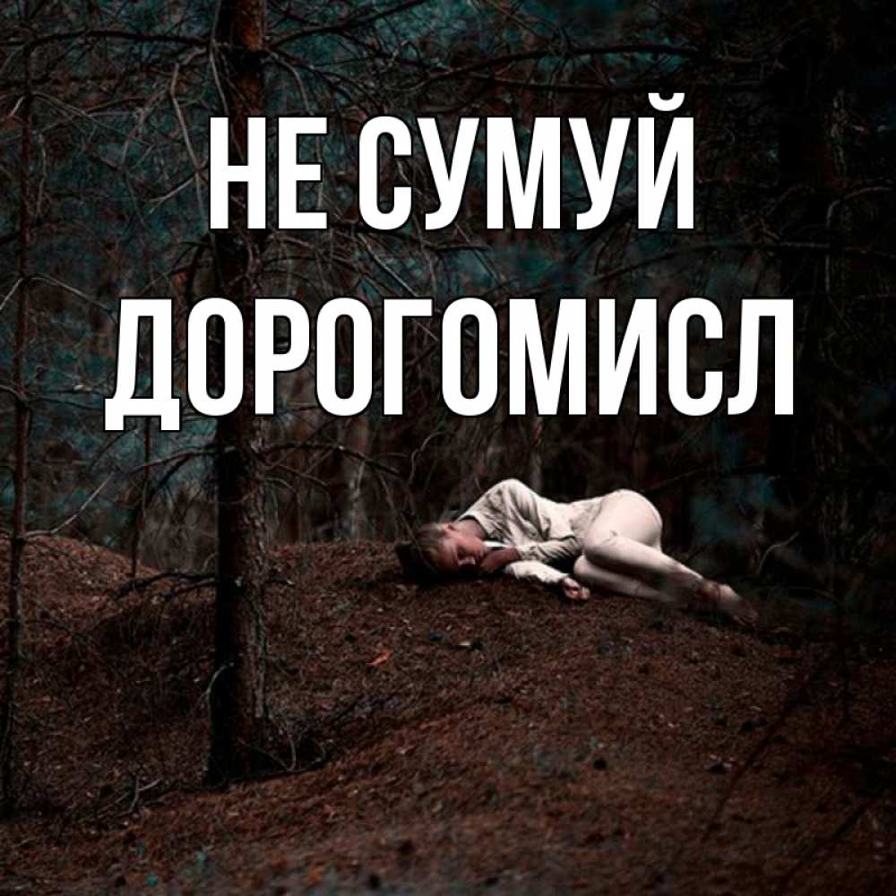 Открытка на каждый день з підписом, Дорогомисл Не сумуй лес Прикольна листівка з побажанням онлайн скачати безкоштовно 