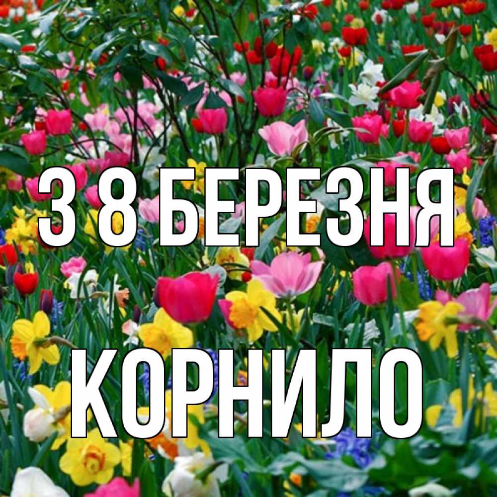Открытка на каждый день з підписом, Корнило З 8 БЕРЕЗНЯ с международным женским днем поздравления для женщины Прикольна листівка з побажанням онлайн скачати безкоштовно 