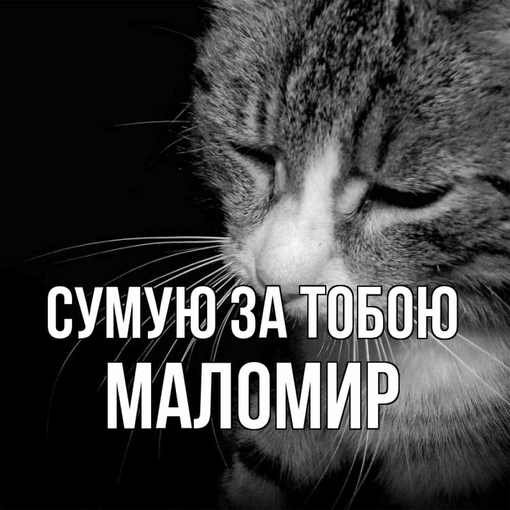 Открытка на каждый день з підписом, Маломир Сумую за тобою мне скучно Прикольна листівка з побажанням онлайн скачати безкоштовно 