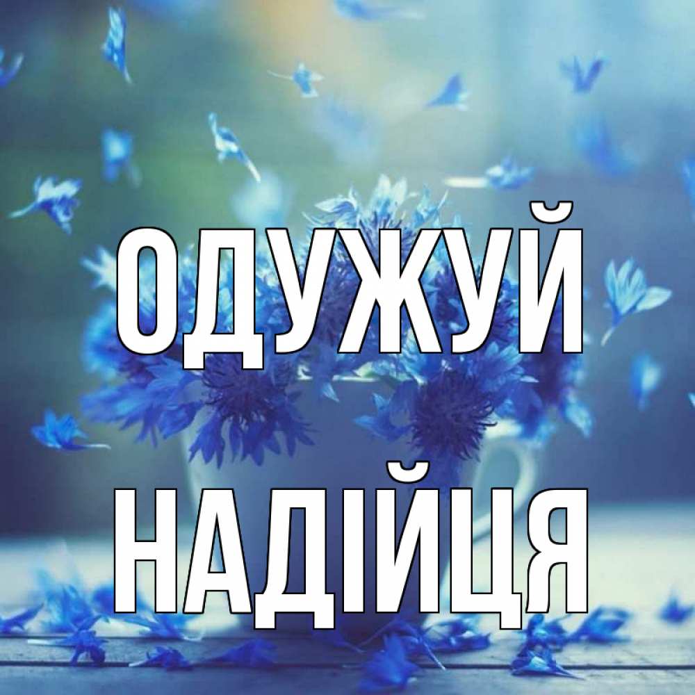 Открытка на каждый день з підписом, Надійця Одужуй кружка с зельем и цветами Прикольна листівка з побажанням онлайн скачати безкоштовно 