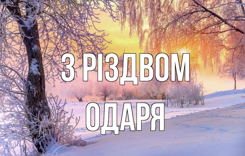Открытка на каждый день з підписом, Одаря З Різдвом рождество, лес, зима 1 Прикольна листівка з побажанням онлайн скачати безкоштовно 
