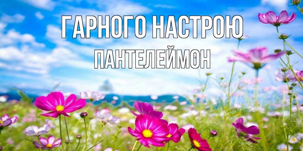 Открытка на каждый день з підписом, Пантелеймон Гарного настрою поле цветов Прикольна листівка з побажанням онлайн скачати безкоштовно 