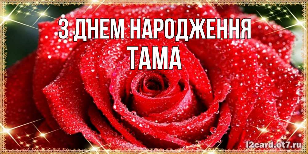 Открытка на каждый день з підписом, Тама З Днем народження роса и роза. открытка с красивой розой Прикольна листівка з побажанням онлайн скачати безкоштовно 