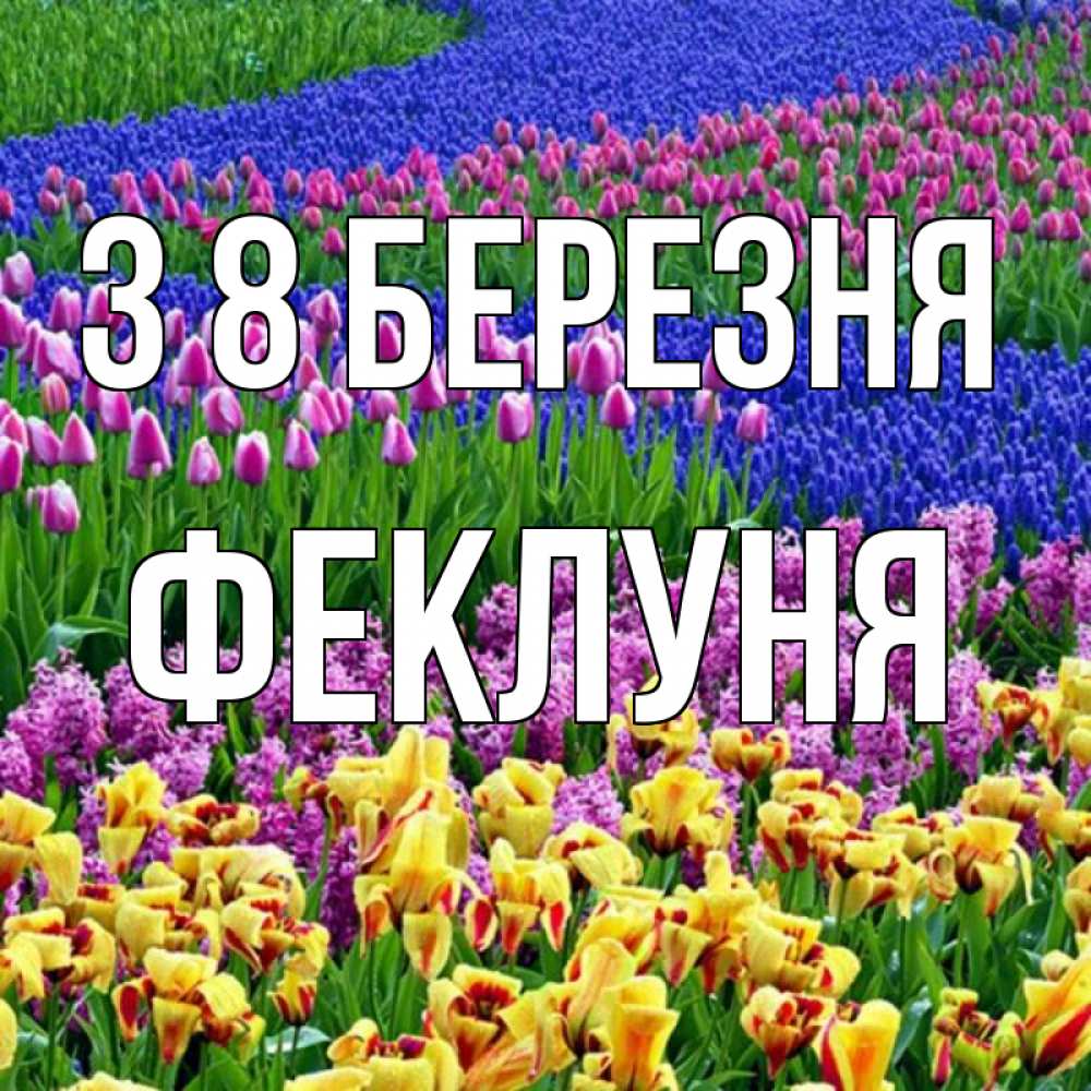 Открытка на каждый день з підписом, Феклуня З 8 БЕРЕЗНЯ цветы Прикольна листівка з побажанням онлайн скачати безкоштовно 