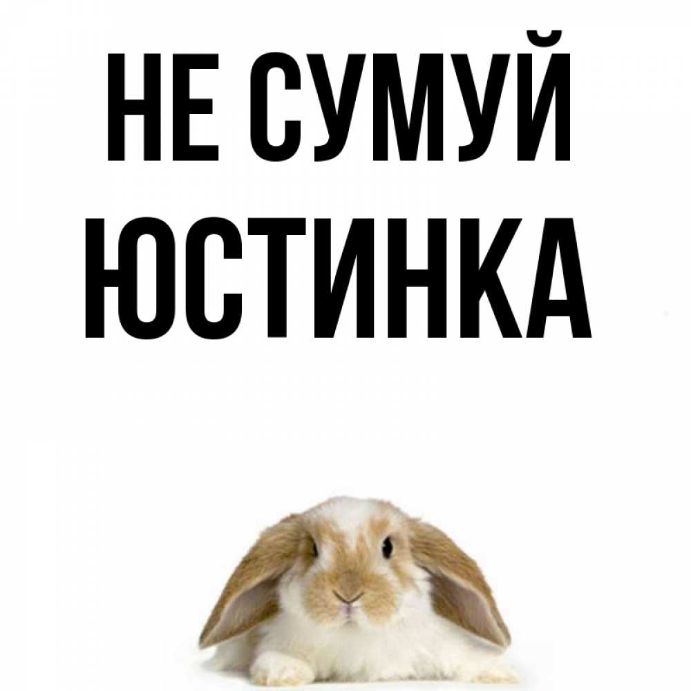 Открытка на каждый день з підписом, Юстинка Не сумуй коричнево белый заяц с большими ушками Прикольна листівка з побажанням онлайн скачати безкоштовно 