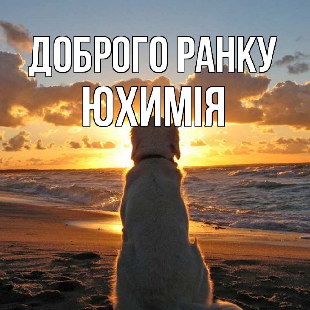 Открытка на каждый день з підписом, Юхимія Доброго ранку восход солнца Прикольна листівка з побажанням онлайн скачати безкоштовно 